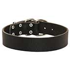 Wide Leather Siberian Husky Collar for Regular Wear