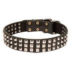 Wide Leather Siberian Husky Collar with Nickel Plated Pyramids