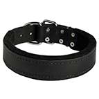 Super Comfortable Padded Leather Collar for Siberian Husky