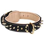 Gorgeous Leather Siberian Husky Collar with Two Rows of Awesome Brass Spikes