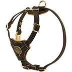 Royal Leather Siberian Husky Puppy Harness