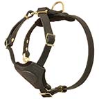 Reliable Leather Siberian Husky Puppy Harness