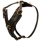 Adjustable Leather Husky Harness for Walking and Training