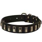 Hand-Made Leather Husky Collar with Vertical Plates