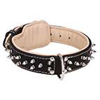 Siberian Husky leather dog collar with 2 rows of nickel-plated spikes