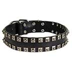 Stylish Leather Husky Collar with Square Studs