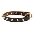 Narrow Leather Husky Collar with the Row of Brass Spikes