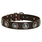 Stylish design leather Siberian Husky collar with conchos