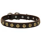 Leather Siberian Husky Collar with Brass Doted Circles