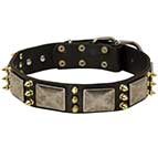 Stylish Leather Husky Collar with Plates and Spikes