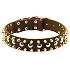 Designer Leather Siberian Husky Collar with Nickel Studs and Brass Spikes