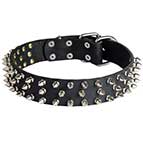 Fashionable Spiked Leather Siberian Husky Collar