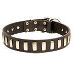 Brass Plated Leather Siberian Husky Collar for Walking and Training