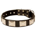 Stylish Leather Husky Collar with Large Plates