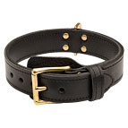 2 Ply Leather Siberian Husky Collar with Brass Hardware
