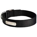Nylon-Dog-Collar-With-ID-Plate