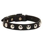 Elegant Leather Husky Collar with Nickel Plated Half-Balls