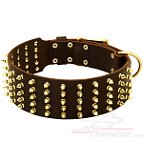Wide Spiked Leather Siberian Husky Collar