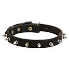 Narrow Spiked Leather Siberian Husky Collar