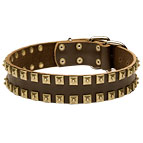 Fashionable Leather Husky Collar with Square Brass Studs