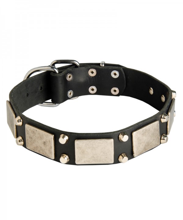 Durable Leather Husky Collar with Cones and Plates