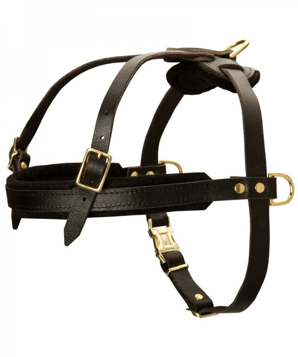 Durable Leather Siberian Husky Harness for Pulling