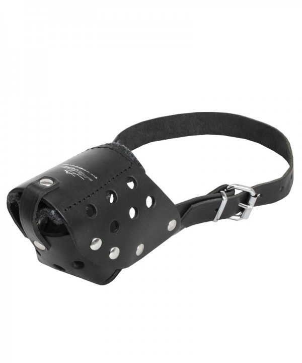 Durable Leather Siberian Husky Muzzle for Walking