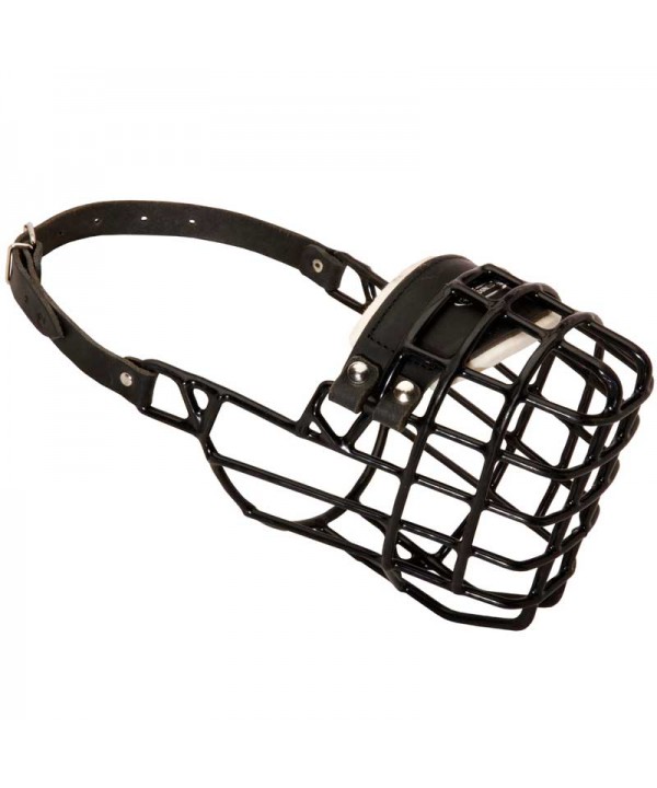 Frost-Resistant Wire Cage Husky Muzzle with One Strap