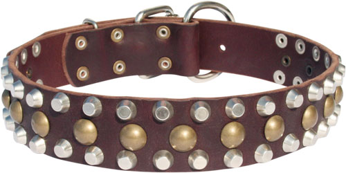 Decorated Leather Siberian Husky Collar with Pyramids and Studs