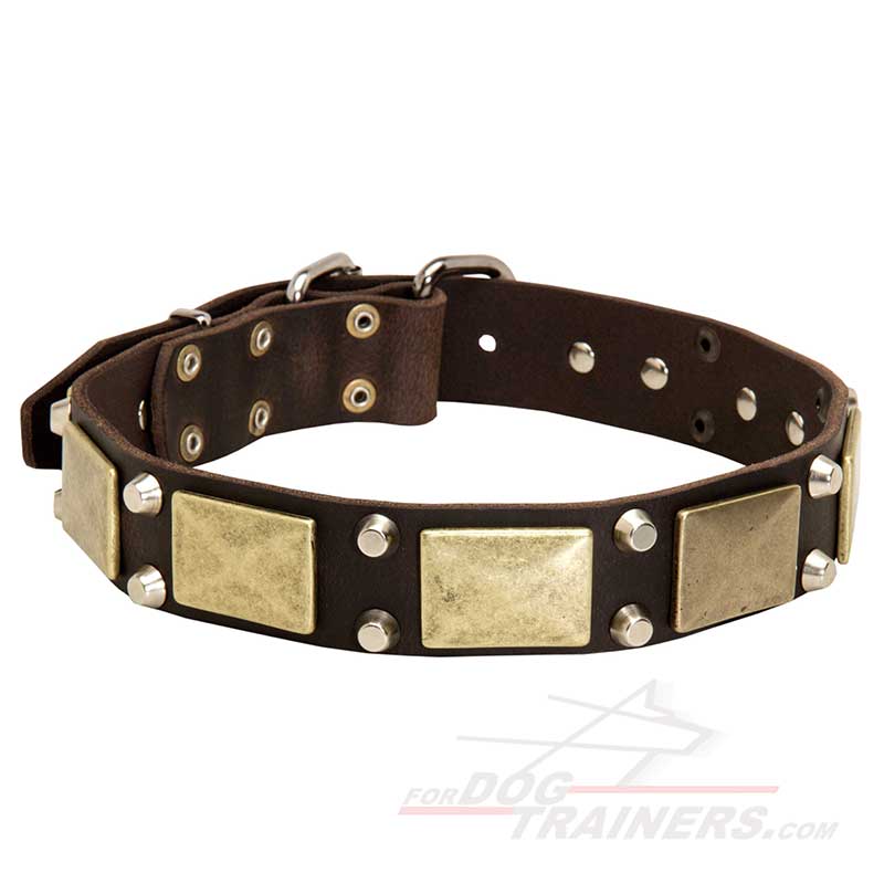 Practical Leather Husky Collar with Plates and Studs - Click Image to Close