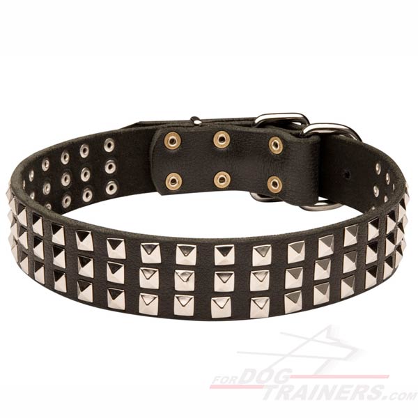 Wide Leather Siberian Husky Collar with Nickel Plated Pyramids - Click Image to Close