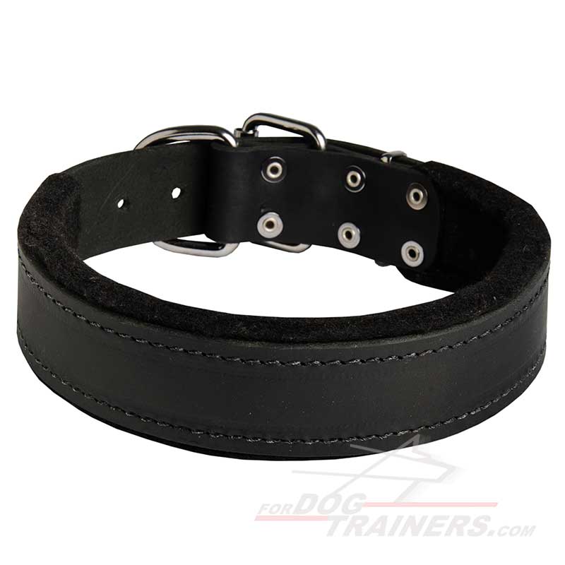 Super Comfortable Padded Leather Collar for Siberian Husky