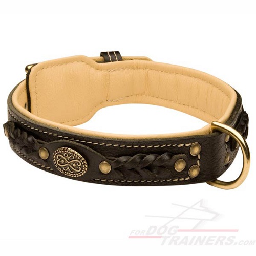 Royal Nappa Padded Hand Made Leather Siberian Husky Collar