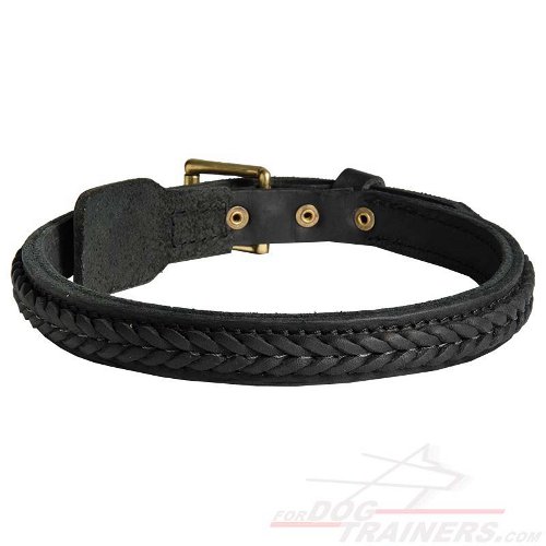Marvellous Braided Leather Siberian Husky Dog Collar