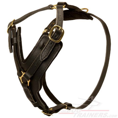 Adjustable Leather Husky Harness for Walking and Training