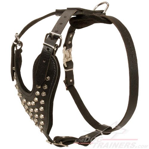 Stylish Leather Siberian Husky Harness with Nickel Plated Cones