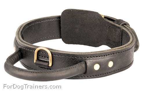 Extra Strong 2 Ply Siberian Husky Leather Collar with Handle