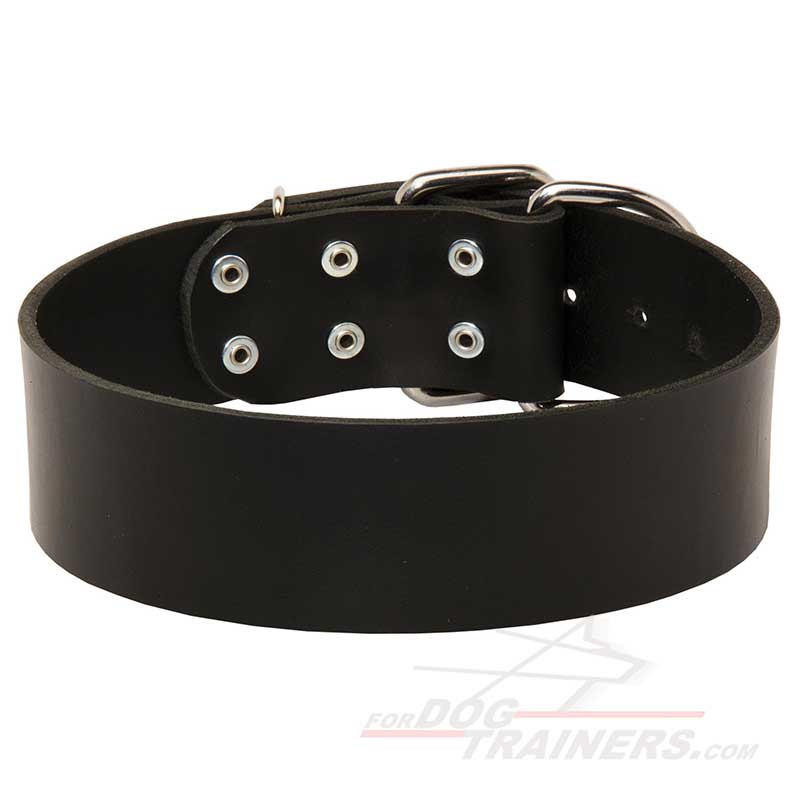 2 inch Wide Leather Siberian Husky Collar