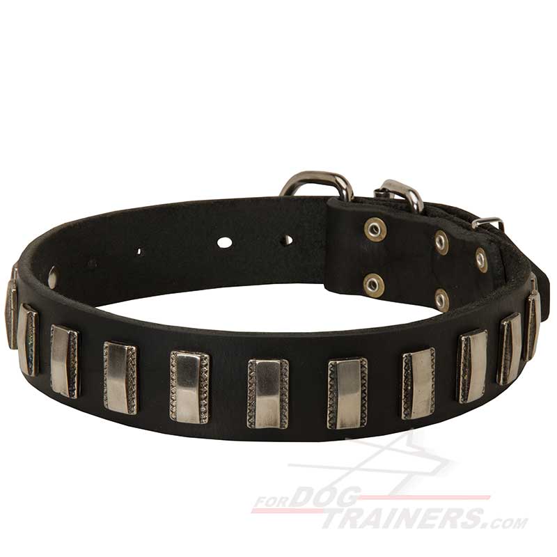 Hand-Made Leather Husky Collar with Vertical Plates