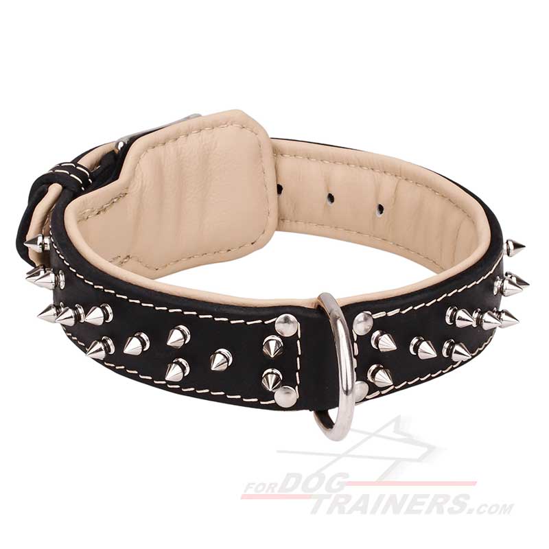 Siberian Husky leather dog collar with 2 rows of nickel-plated spikes