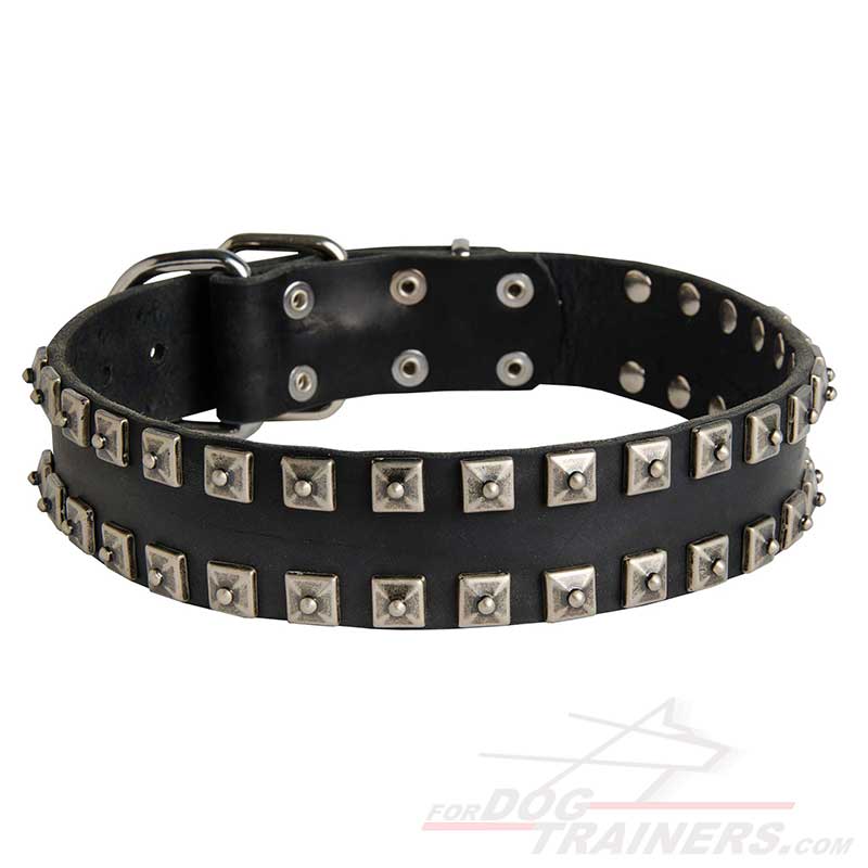 Stylish Leather Husky Collar with Square Studs