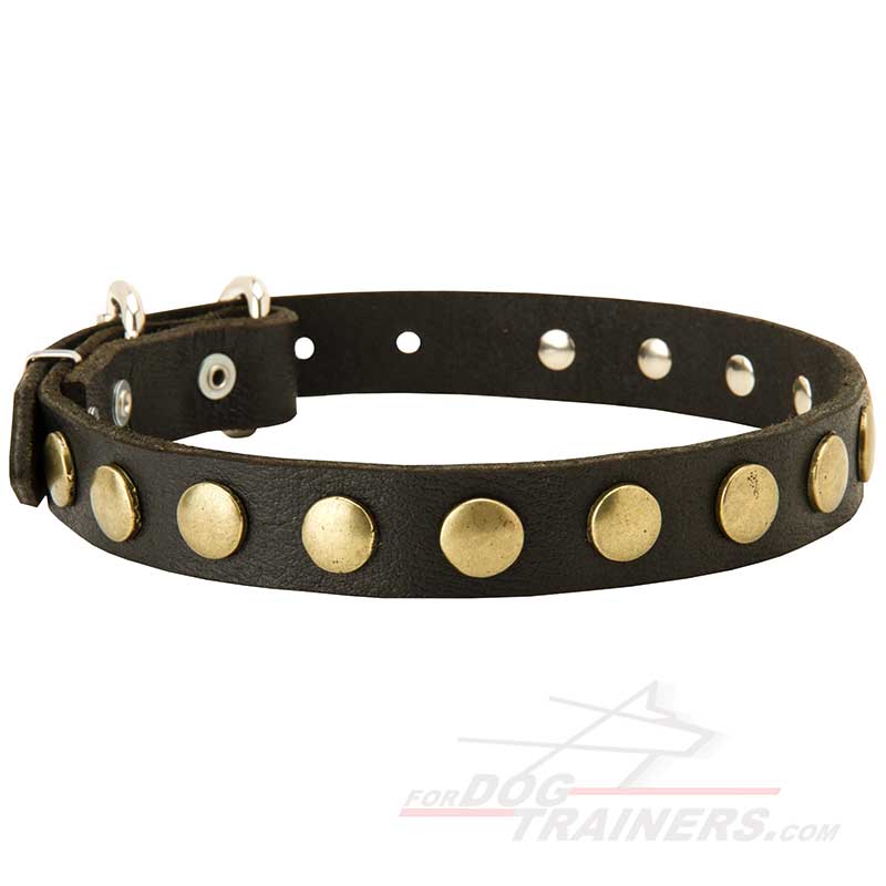 Fashionable Leather Siberian Husky Collar with Brass Decor