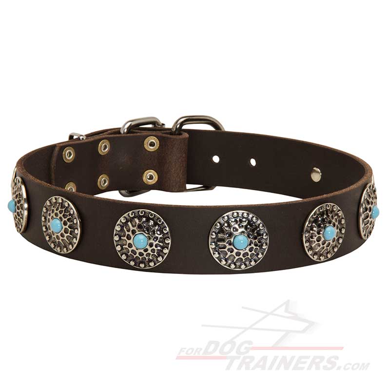 Stylish design leather Siberian Husky collar with conchos