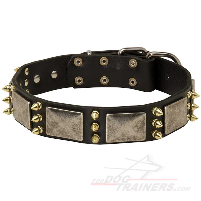 Stylish Leather Husky Collar with Plates and Spikes