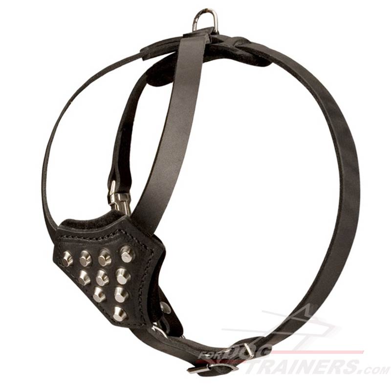 Puppy Size Leather Siberian Husky Harness with Pyramids