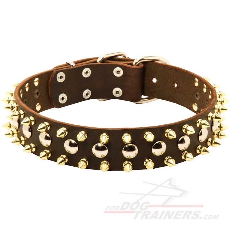 Designer Leather Siberian Husky Collar with Nickel Studs and Brass Spikes