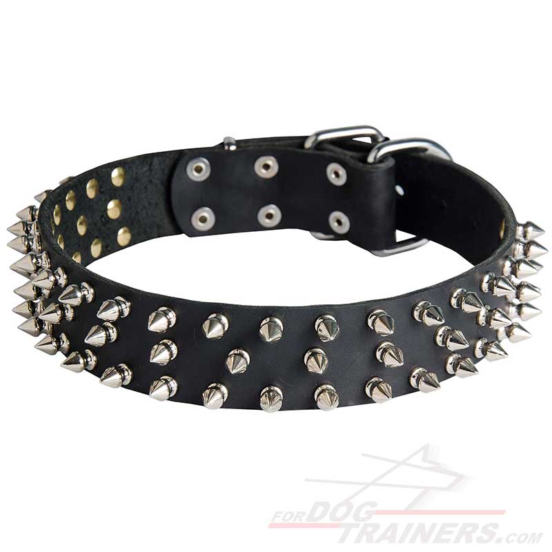 Fashionable Spiked Leather Siberian Husky Collar