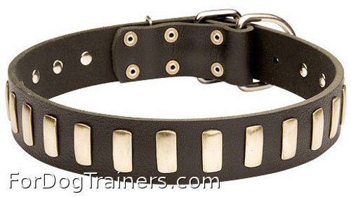 Brass Plated Leather Siberian Husky Collar for Walking and Training