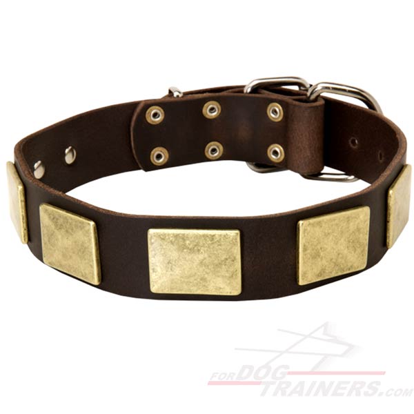 Stylish Leather Husky Collar with Large Plates