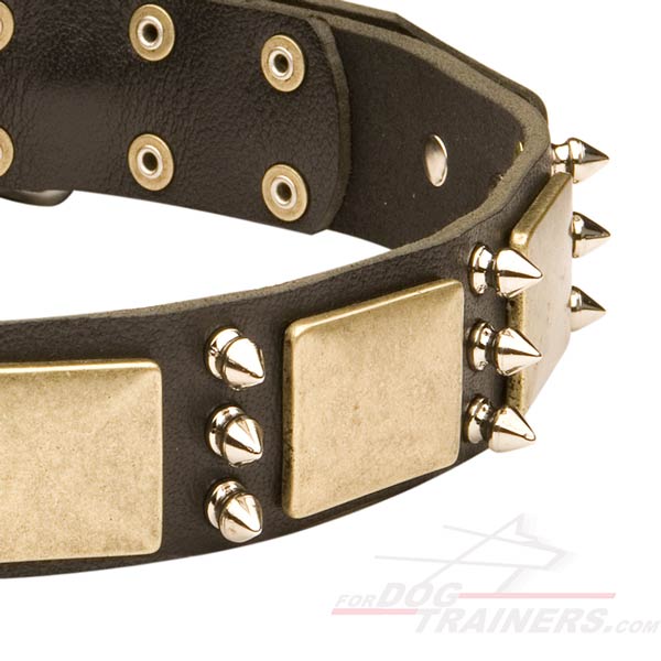 High Quality Leather Husky Collar with Plates and Spikes